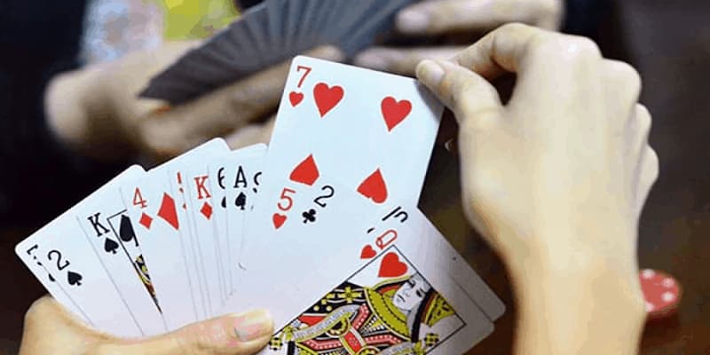 Giới thiệu về cách chơi phỏm 9 cây