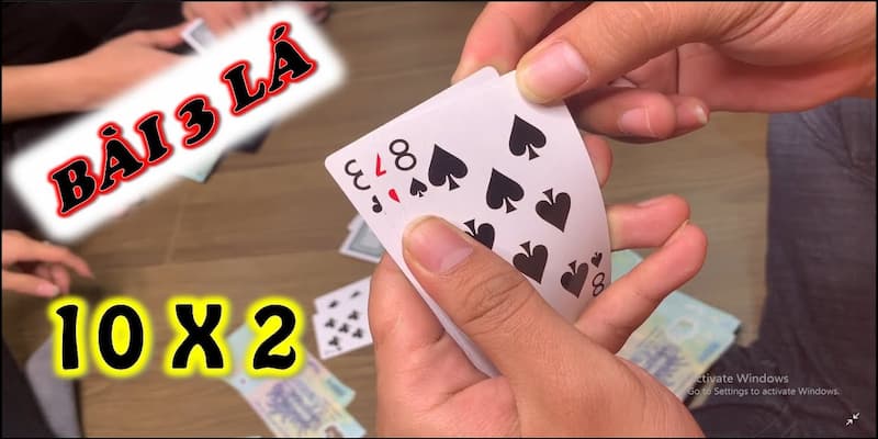 Quy trình đặt cược khi chơi bài liêng ba cây