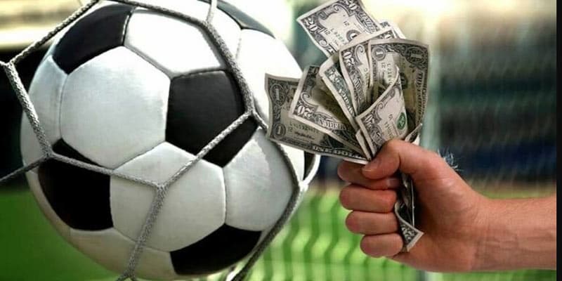 Ưu điểm nổi bật của Thể thao Manclub